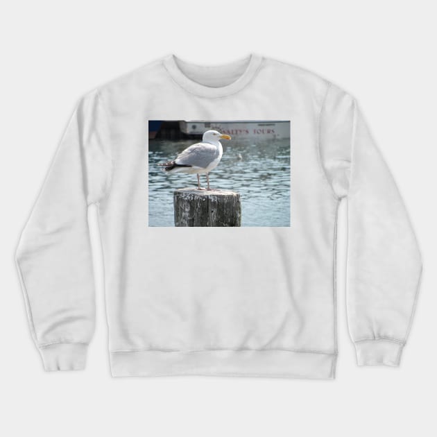 Gull King Crewneck Sweatshirt by KensLensDesigns